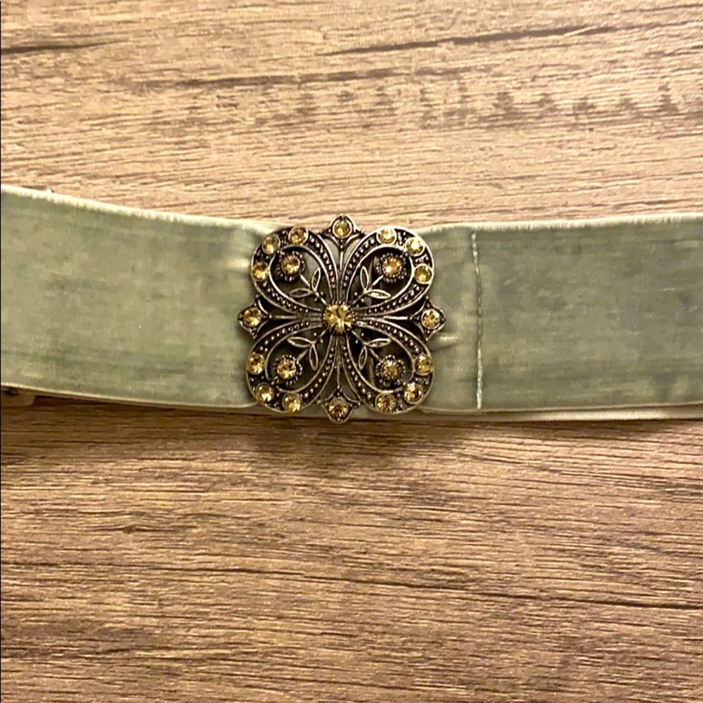 Velvet Belt